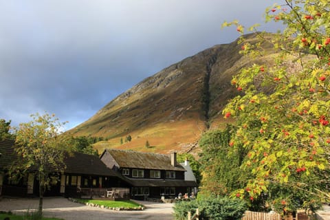 Oak Tree Lodge House in Scotland