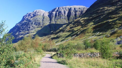 Oak Tree Lodge House in Scotland
