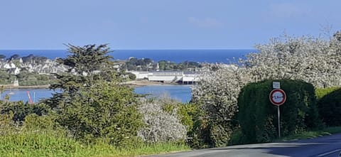 Sea view