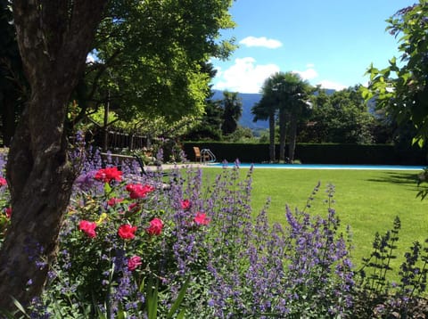 Summer, Garden view, Pool view