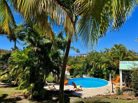 Garden, Garden view, Swimming pool