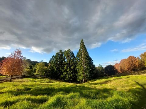 Cottage In The Woods - Formerly King Ludwigs Cottage Haus in Maleny