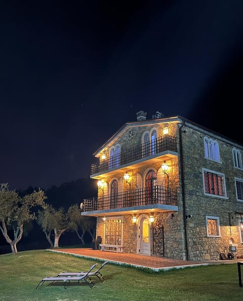 Property building, Night, Garden