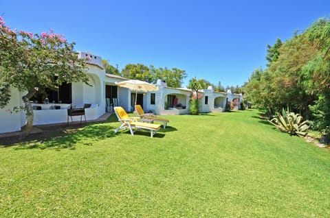 Garden, Garden view, Garden view