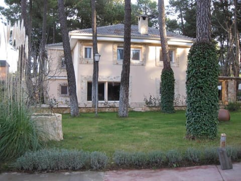 Property building, Natural landscape, Garden, Garden view