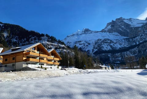 Property building, Natural landscape, Winter, Skiing, Location