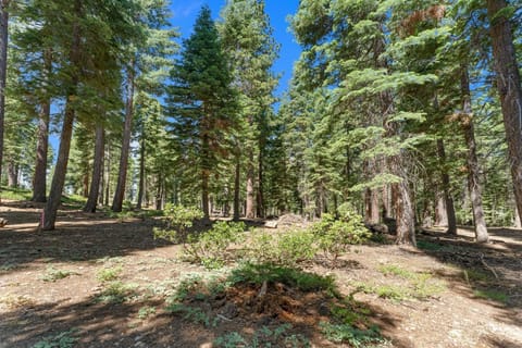 The Villa Bossi Casa in Tahoe Vista