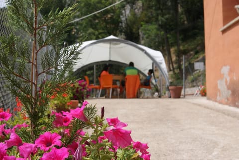 Patio, group of guests