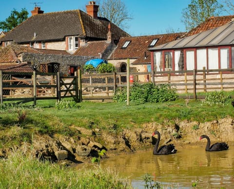 Knoll Hill Farm, The Place To Stay Chambre d’hôte in Mendip District
