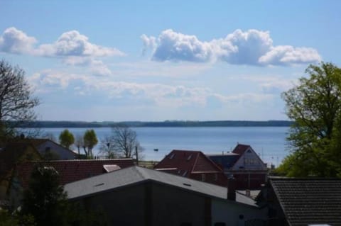 Ferienwohnung Haffausblick Apartment in Rerik