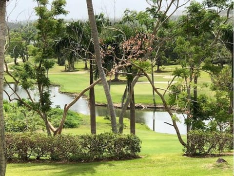 Rio Mar Village - Golf Course View Villa in Rio Grande