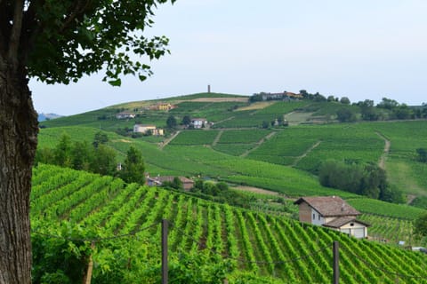 Natural landscape, Hiking