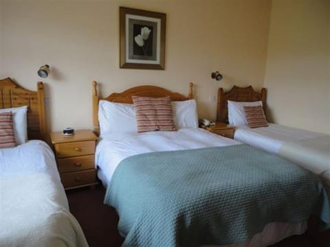 Alpine Guesthouse Bed and Breakfast in Dingle