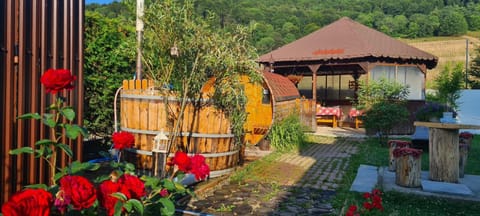 Poiana Cristian Bed and Breakfast in Brasov