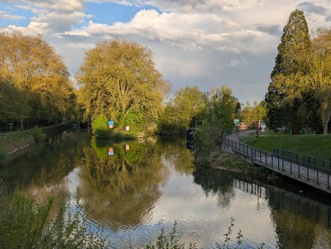 péniche Ino Lefkothea II chambre d'hôtes Bed and Breakfast in Dole