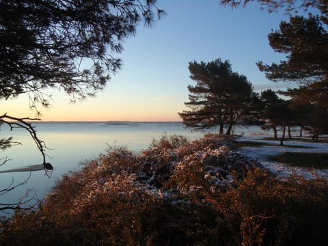 Natural landscape, Winter, Sea view