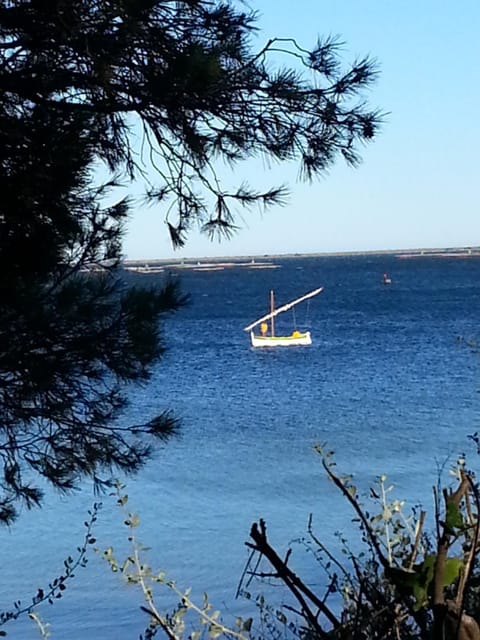 Au bord de Thau Bed and Breakfast in Marseillan