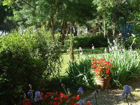 Garden, Garden view