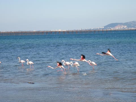 Natural landscape, Sea view