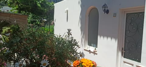 Villa dei fiori B&B Bed and Breakfast in Marina Grande