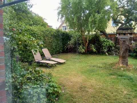 Garden, Garden view, sunbed