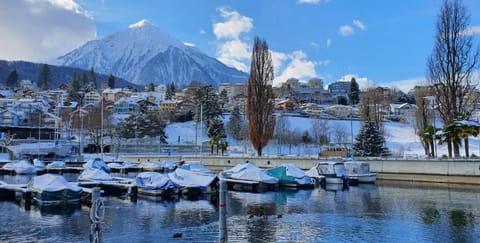 Winter, Lake view