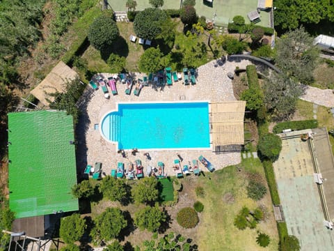 Pool view