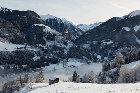 Natural landscape, Winter