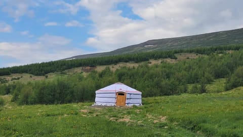 Iceland yurt Luxus-Zelt in Northeastern Region