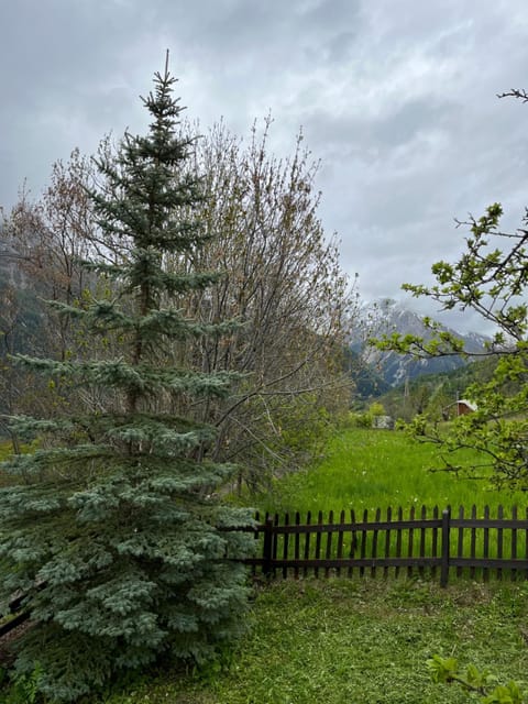 En pleine nature avec jardin Apartment in Uvernet-Fours