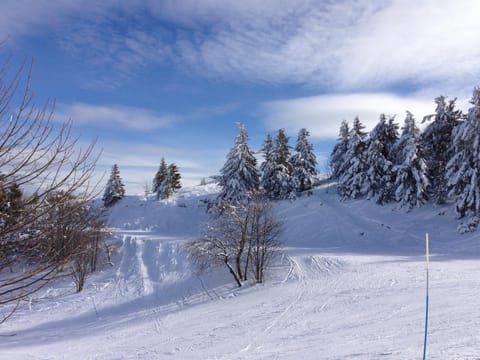 Natural landscape, Winter