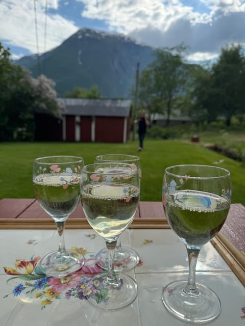 Aobrio Holidayhouse, authentic norwegian farmhouse close to Flåm Haus in Vestland