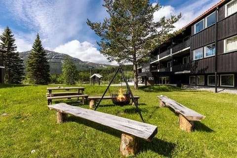 Storehorn Apartments Hemsedal Apartment in Viken, Norway