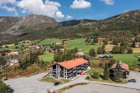 Storehorn Apartments Hemsedal Apartment in Viken, Norway