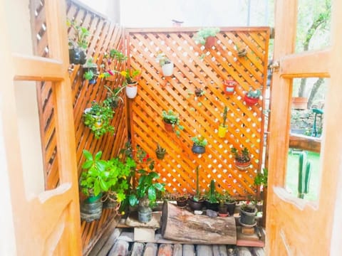 Patio, Garden