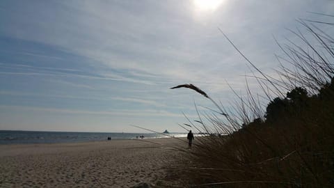 View (from property/room), Beach, Beach