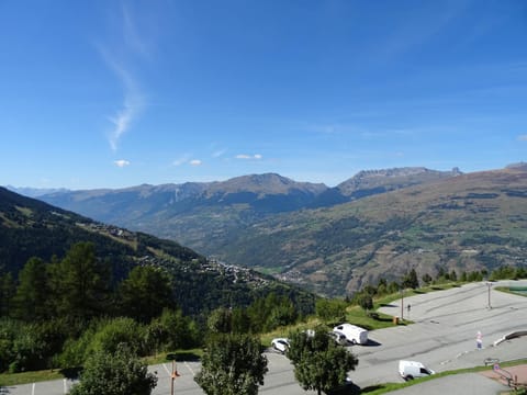 Studio 4 personnes à Vallandry, proche pistes et commerces, animaux acceptés - FR-1-411-180 Apartment in Landry