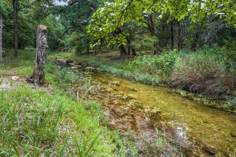 Lazy Daze House in Canyon Lake