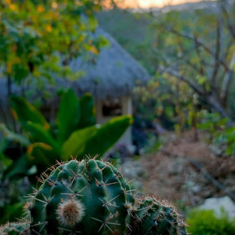 La Aldea Zipolite Inn in State of Oaxaca