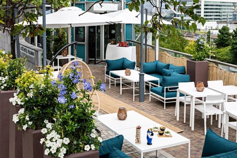 Patio, Drinks