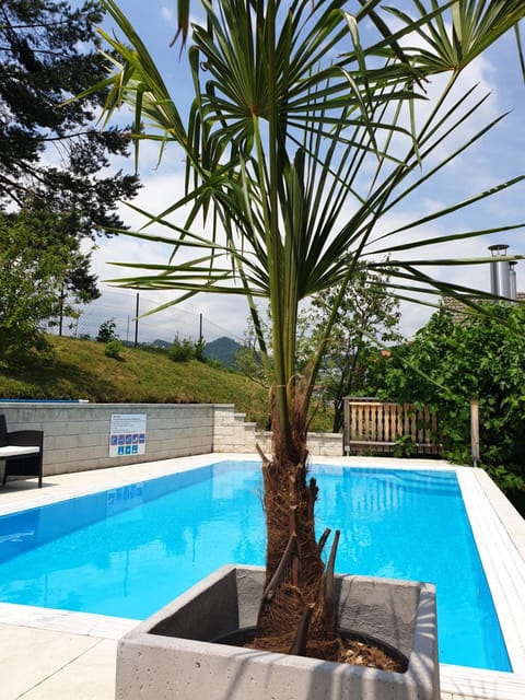 Spring, Day, Natural landscape, Garden, Garden view, Pool view, Swimming pool, sunbed