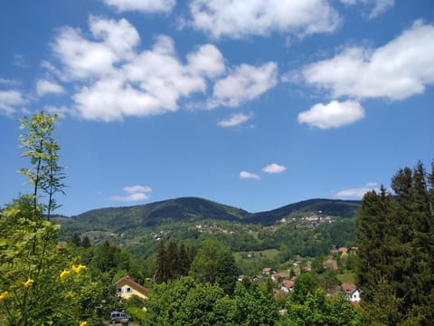 Les Sapins Bed and Breakfast in Vosges
