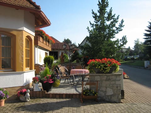 Patio, Spring