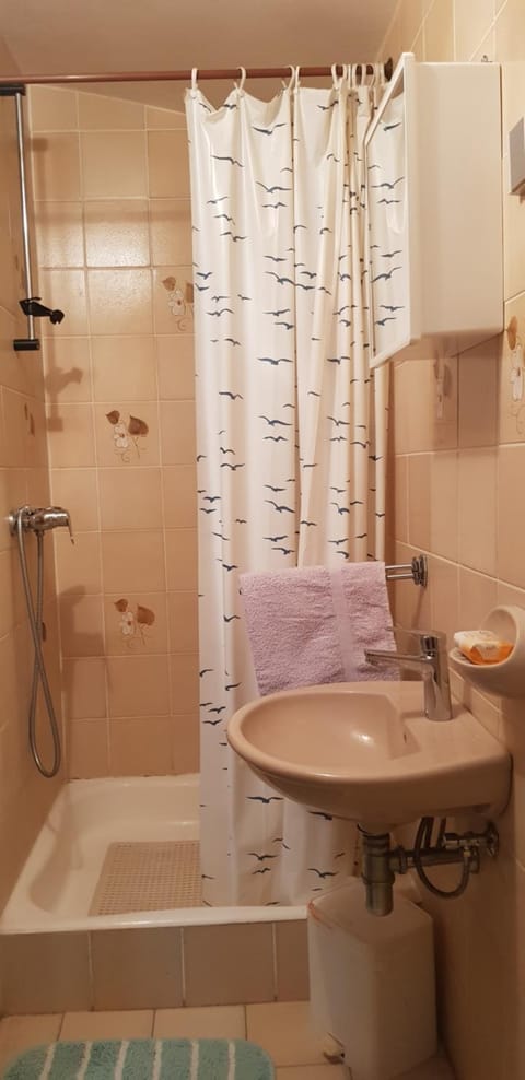 Shower, Toilet