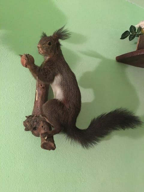 Agritur Alpino Farm Stay in Trentino-South Tyrol