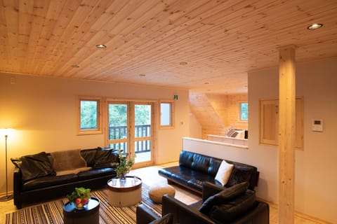 Living room, Decorative detail, Dining area