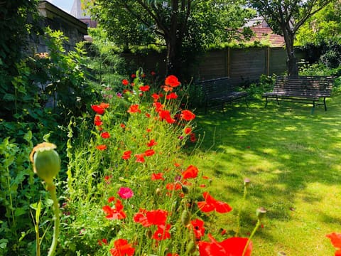 Patio, Garden