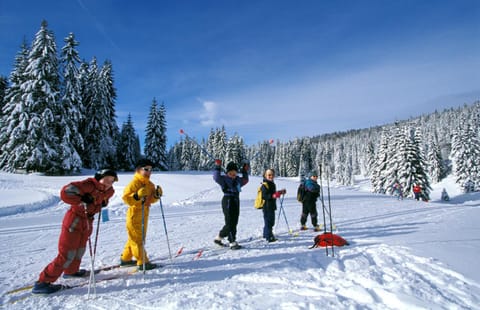 Winter, Skiing