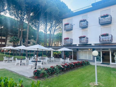 Property building, Patio, Day, Natural landscape, Garden