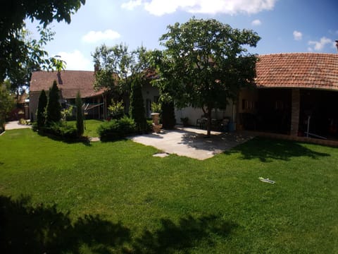 Garden view, Inner courtyard view